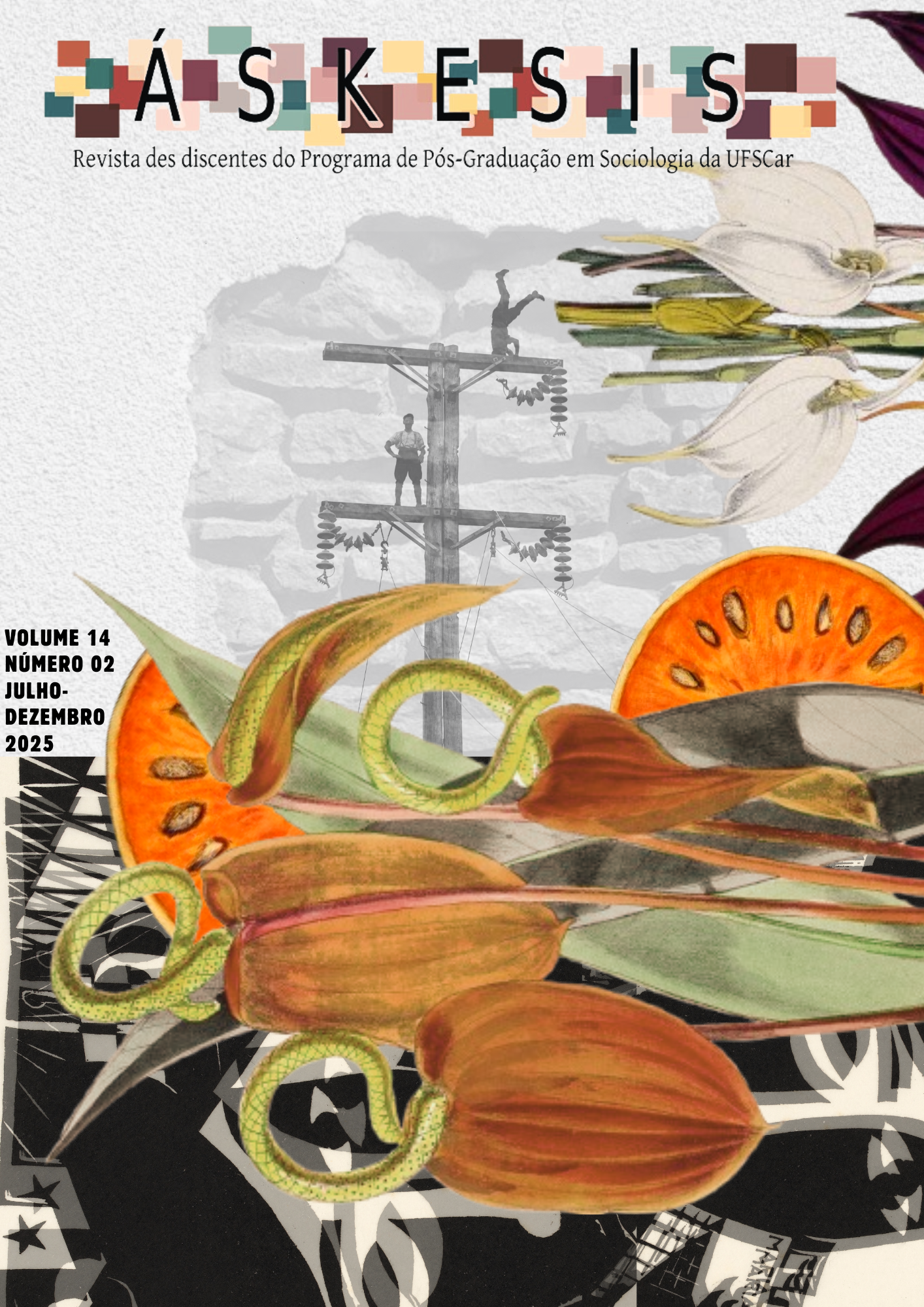 					Visualizar v. 14 n. 2 (2025): Construir paraquedas em tempos de urgência: uma abertura para imaginar outros mundos
				